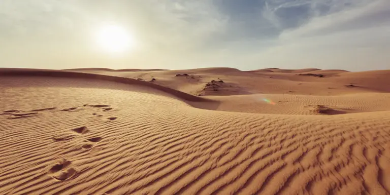 Fotografía de las arenas de un desierto.