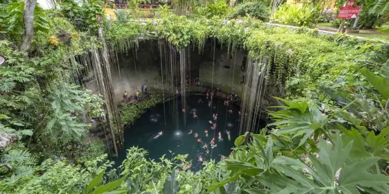 Fotografía de un cenote.