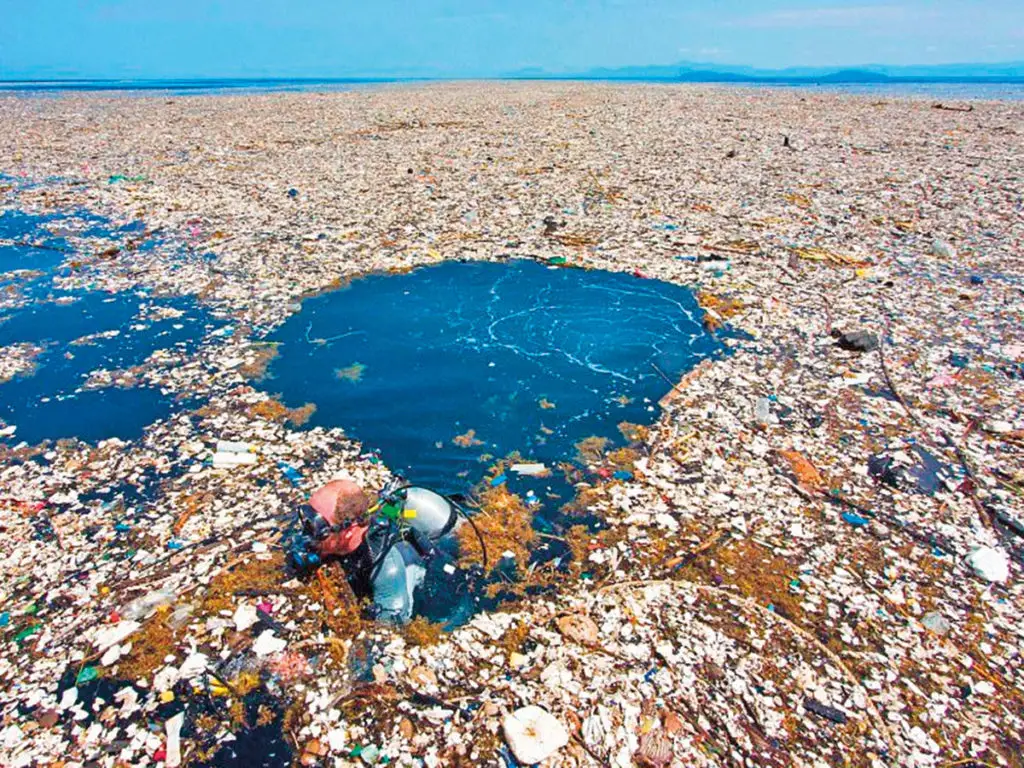 El Gran Parche De Basura Del Océano Pacífico Y El Mundo De Synthetica