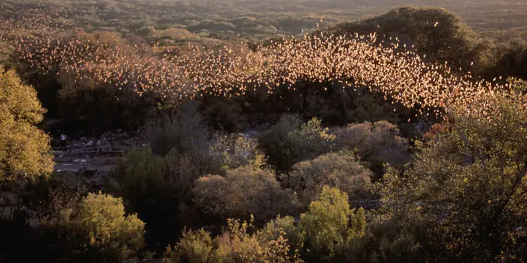 Fotografía de la caverna Bracken.