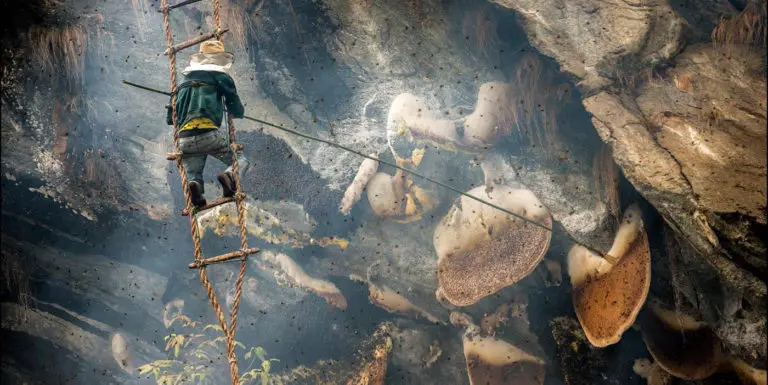 Fotografía de trabajadores en Lamjung.