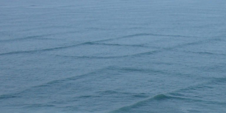 Fitografái de las olas cuadrada de la isla de Ré.