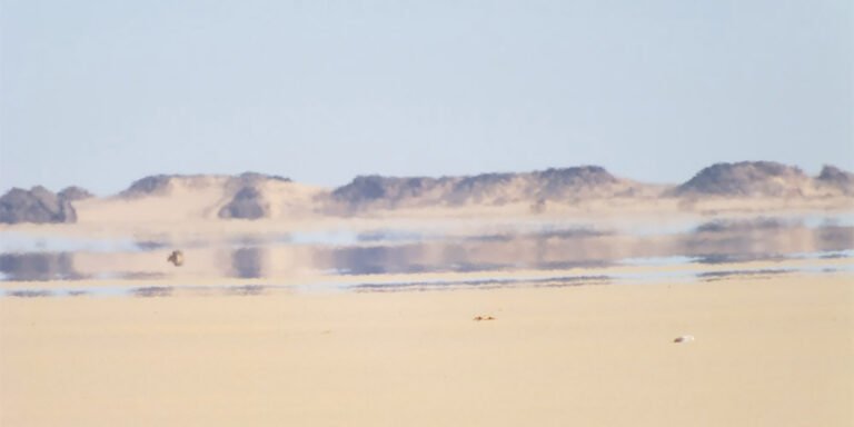 Imagen de un espejismo en el desierto.