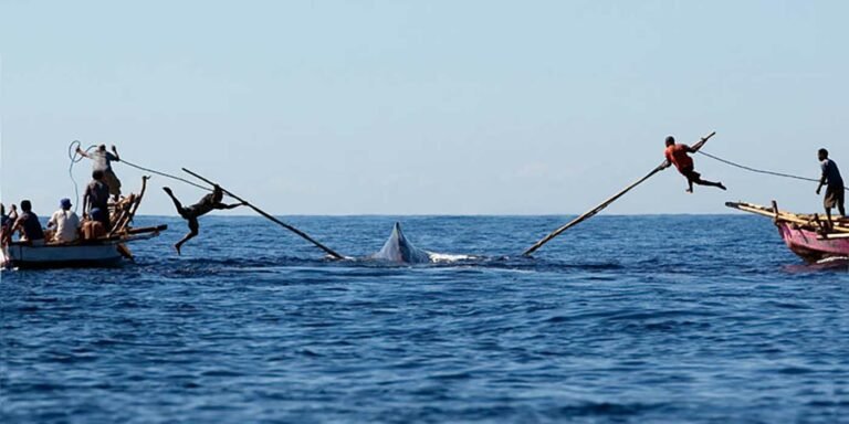 Hombres arponando una ballena.