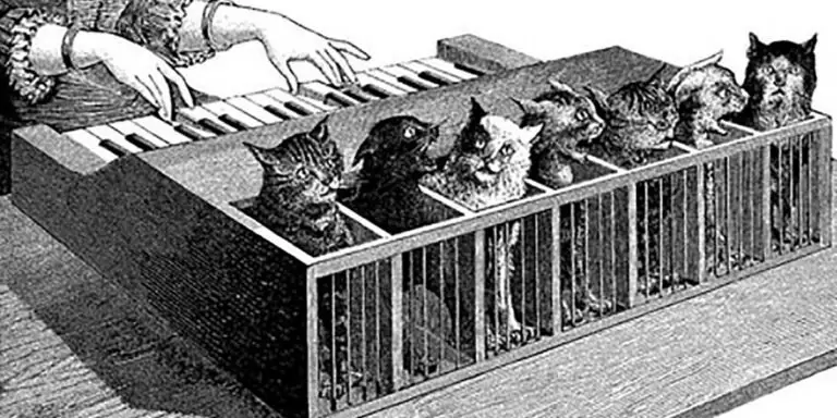 Imagen del piano hecho a partir de gatos de Athanasius Kircher.