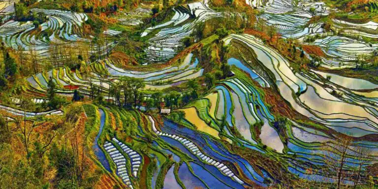 Terrazas de arroz de Yunnan, China.