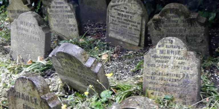 Lápidas en el cementerio de mascotas del Hyde Park.