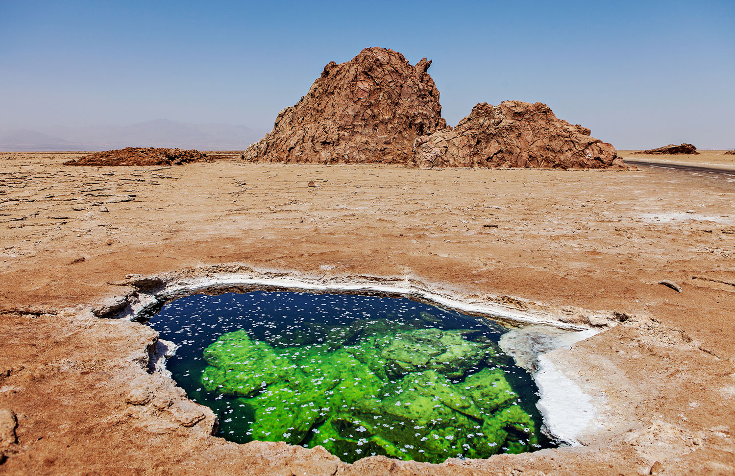 danakil desert tour