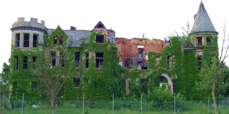 Casas de Detroit siendo devoradas por la vegetación.