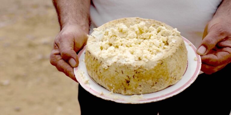 Horma de queso casu marzu.