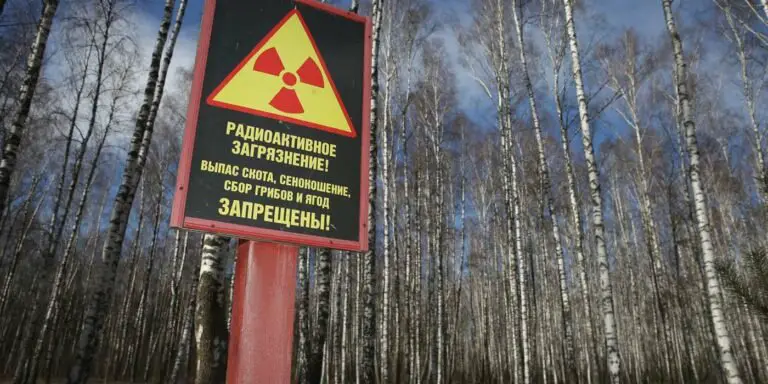 Cartel de advertencia en uno de los bosques de Chernobyl.