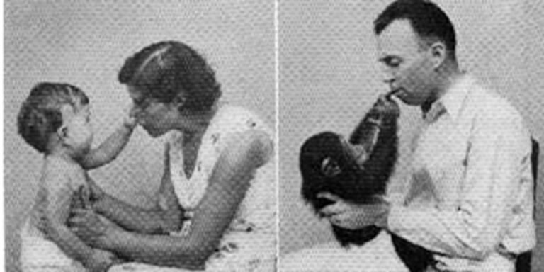 El Experimento Kellogg fue un experimento que bordeó los límites de la ética. Un científico que crió a su pequeño hijo junto a una chimpancé como hermanos.