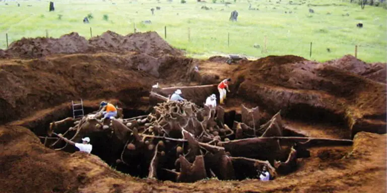 Un grupo de científicos logro capturar utilizando cemento la intrincada e impresionante estructura de un hormiguero gigante. Una verdadera ciudad natural.